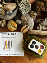 Load image into Gallery viewer, Eco-Chromatic Watercolour Palette| Tin Lille Beart Collab